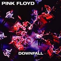 Pink Floyd Downfall Sirene Label